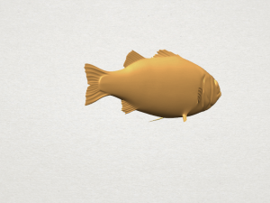 fish 03 Modèles 3D en vedette