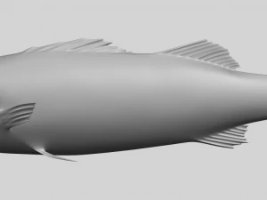 pez 03 Modelo de impresión 3D