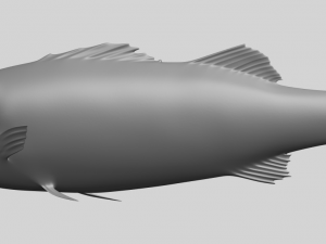 fish 03 Modèles 3D en vedette