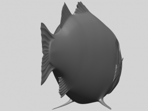 fish 03 Modèles 3D en vedette