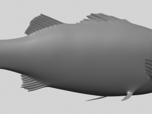 fish 03 Modèles 3D en vedette