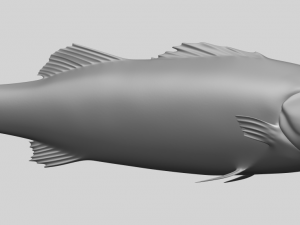 fish 03 Modèles 3D en vedette