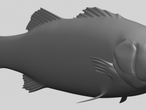 fish 03 Modèles 3D en vedette