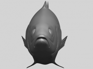 fish 03 Modèles 3D en vedette
