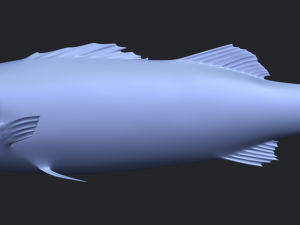fish 03 Modèles 3D en vedette