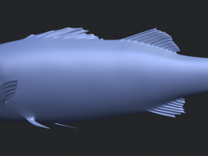 fish 03 Modèles 3D en vedette
