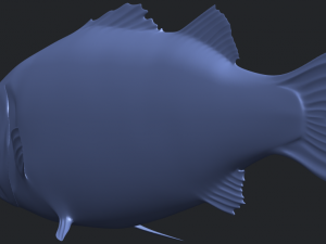 fish 03 Modèles 3D en vedette