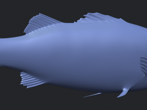 fish 03 Modèles 3D en vedette