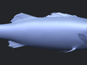 fish 03 Modèles 3D en vedette