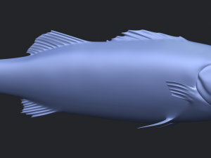 fish 03 Modèles 3D en vedette