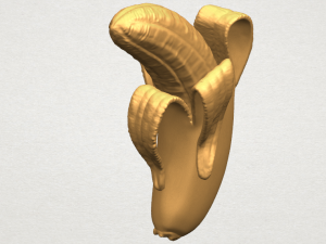 banana 02 3D 프린트 모델