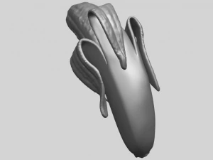 banana 02 3D Print Model