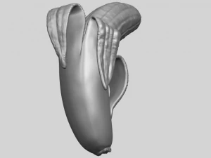 banana 02 3D Print Model