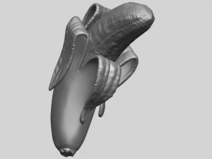 banana 02 3D Print Model