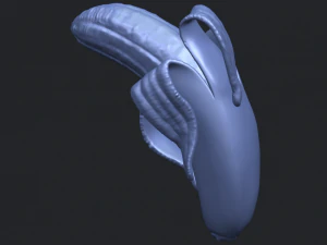 banana 02 3D Print Model