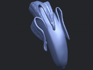 banana 02 3D 프린트 모델