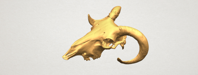 skull of goat 02 3D Принт Модель .c4d .max .obj .3ds .fbx .stl .blend 