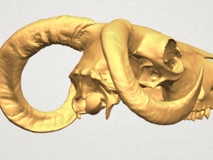 skull of goat 02 3D Принт Модель