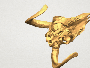 skull of goat 02 3D Принт Модель
