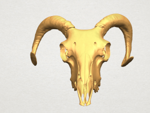 skull of goat 02 3D Принт Модель