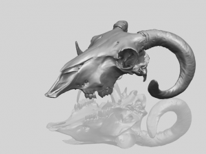 skull of goat 02 3D Принт Модель