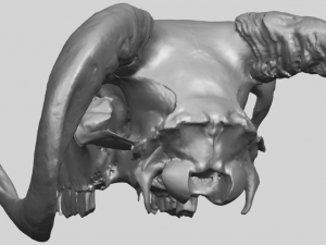 skull of goat 02 3D Принт Модель