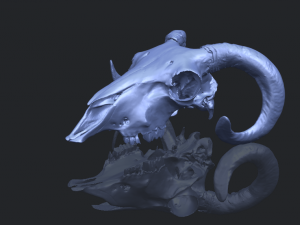 skull of goat 02 3D Принт Модель