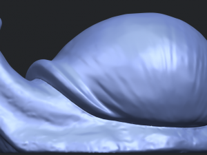 snail 3Dプリントモデル