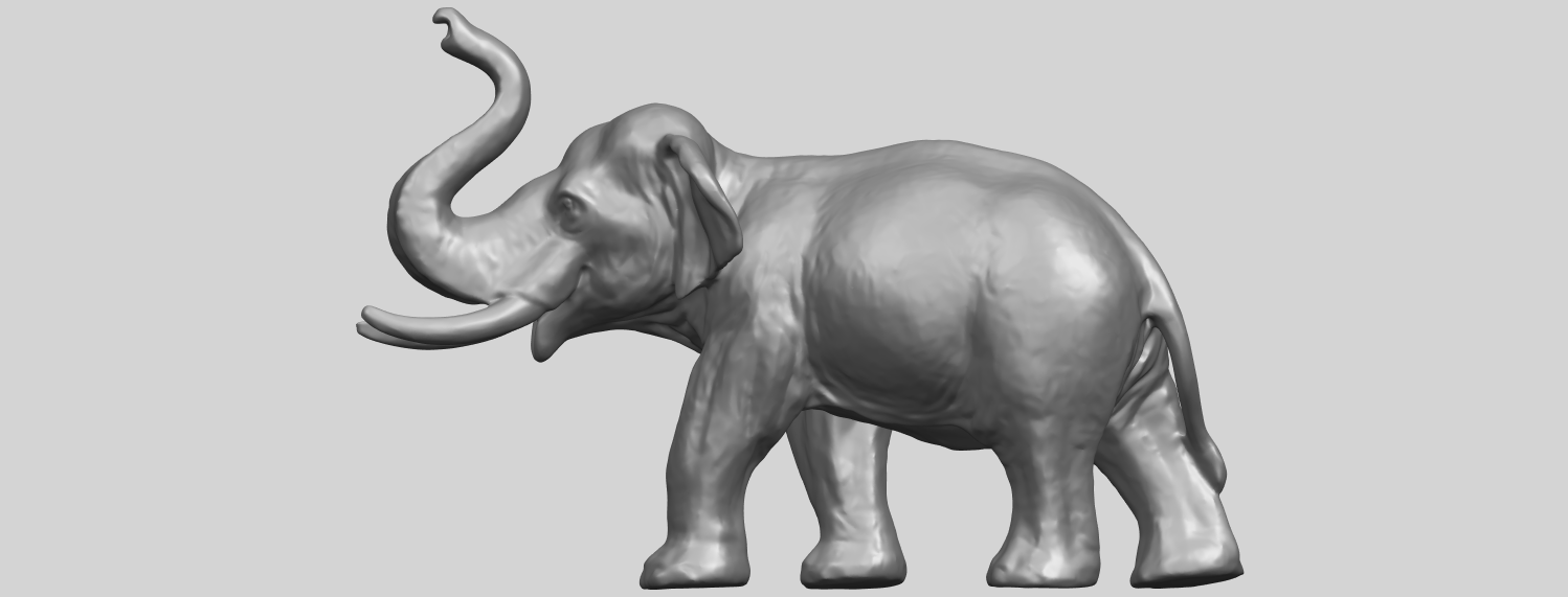 Elephant 6