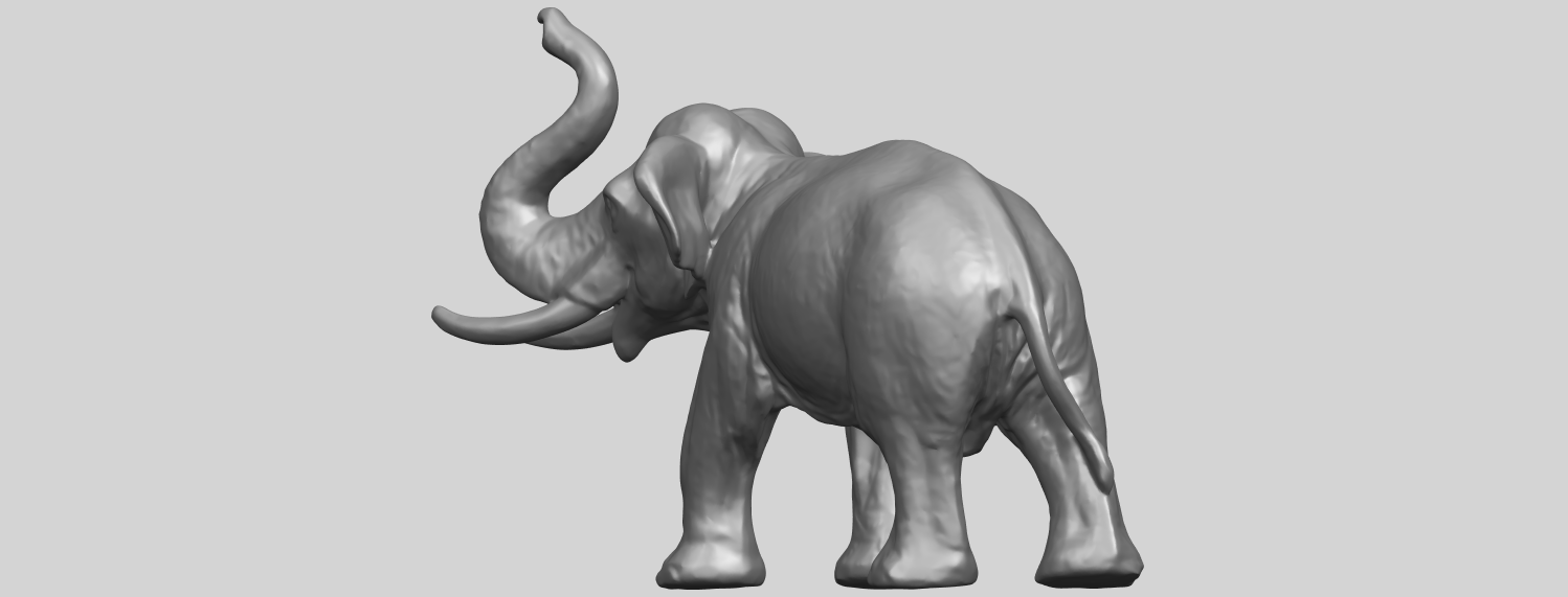 Elephant 6