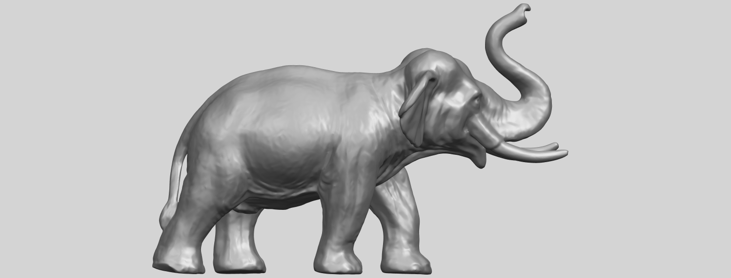 Elephant 6