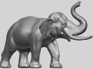 elephant 06 3D Print Model