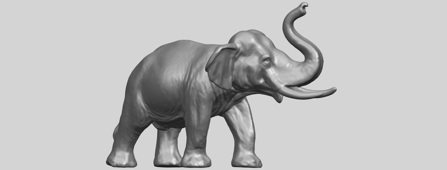 Elephant 6