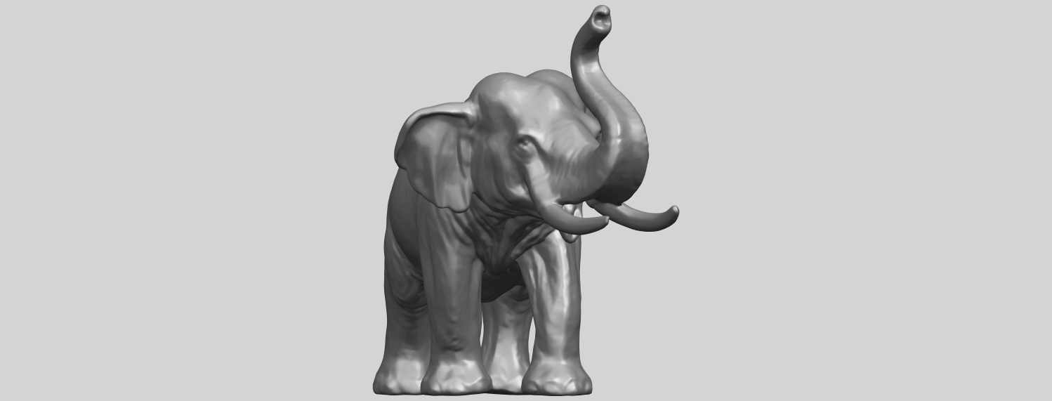 Elephant 6