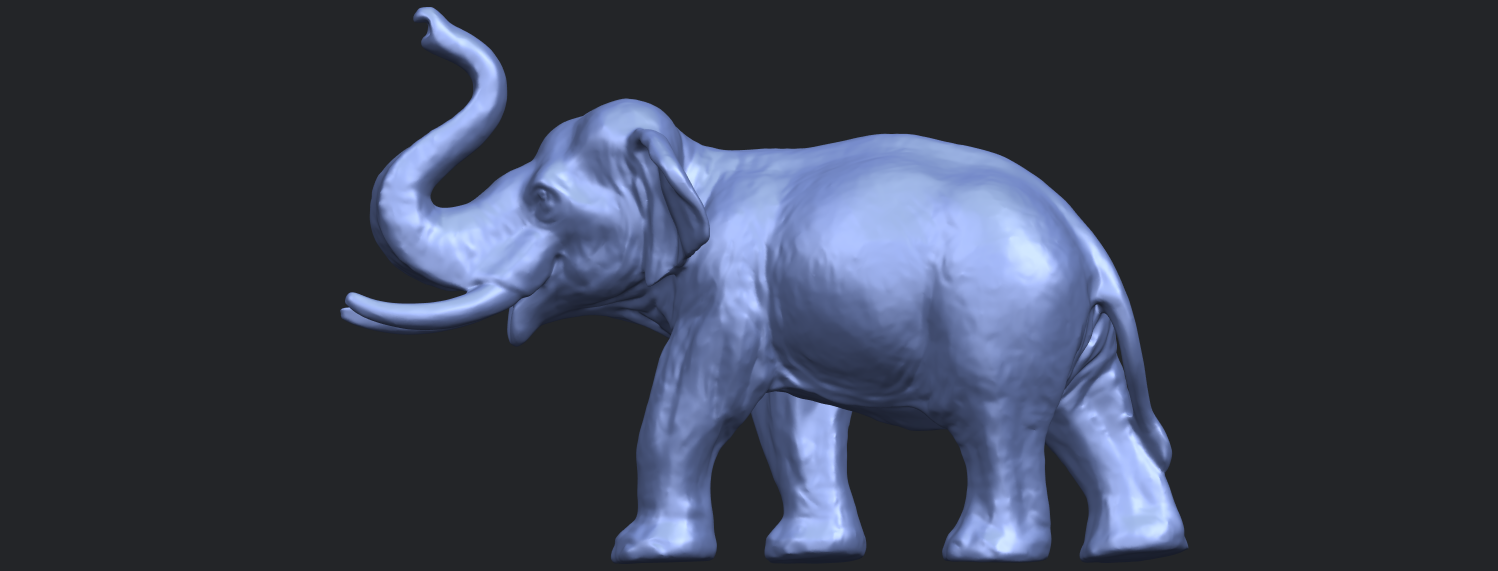 Elephant 6