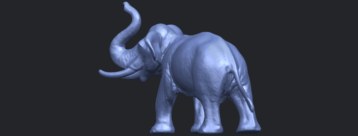 Elephant 6