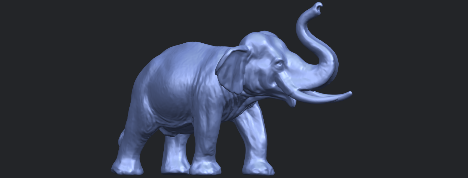 Elephant 6