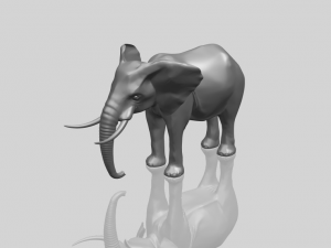 elephant 07 3D प्रिंट मॉडल