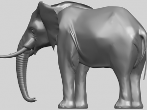 elephant 07 3D प्रिंट मॉडल