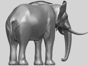 elephant 07 3D प्रिंट मॉडल