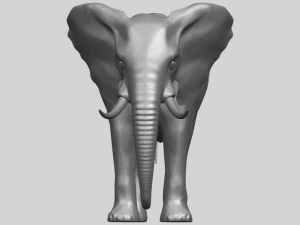 elefante 07 Modelo de impresión 3D
