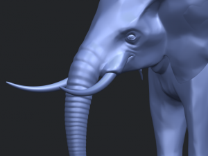 elephant 07 3D प्रिंट मॉडल