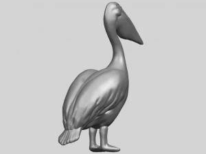 pelican 3D Print Model