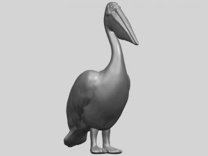 pelican 3D Print Model