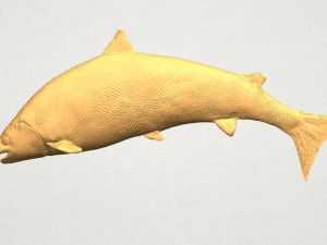 fish 04 3D Print Model