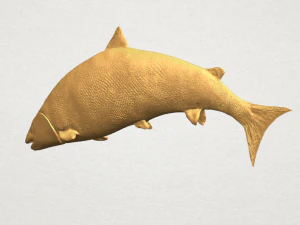 fish 04 3D Print Model