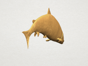fish 04 3D Baskı Modeli