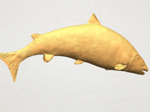fish 04 3D Baskı Modeli