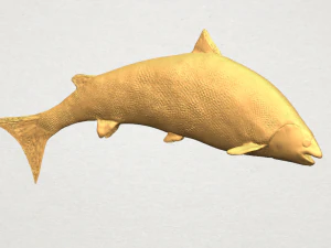 fish 04 3D Print Model