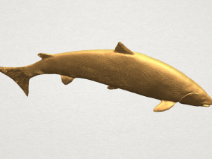 fish 04 3D Baskı Modeli